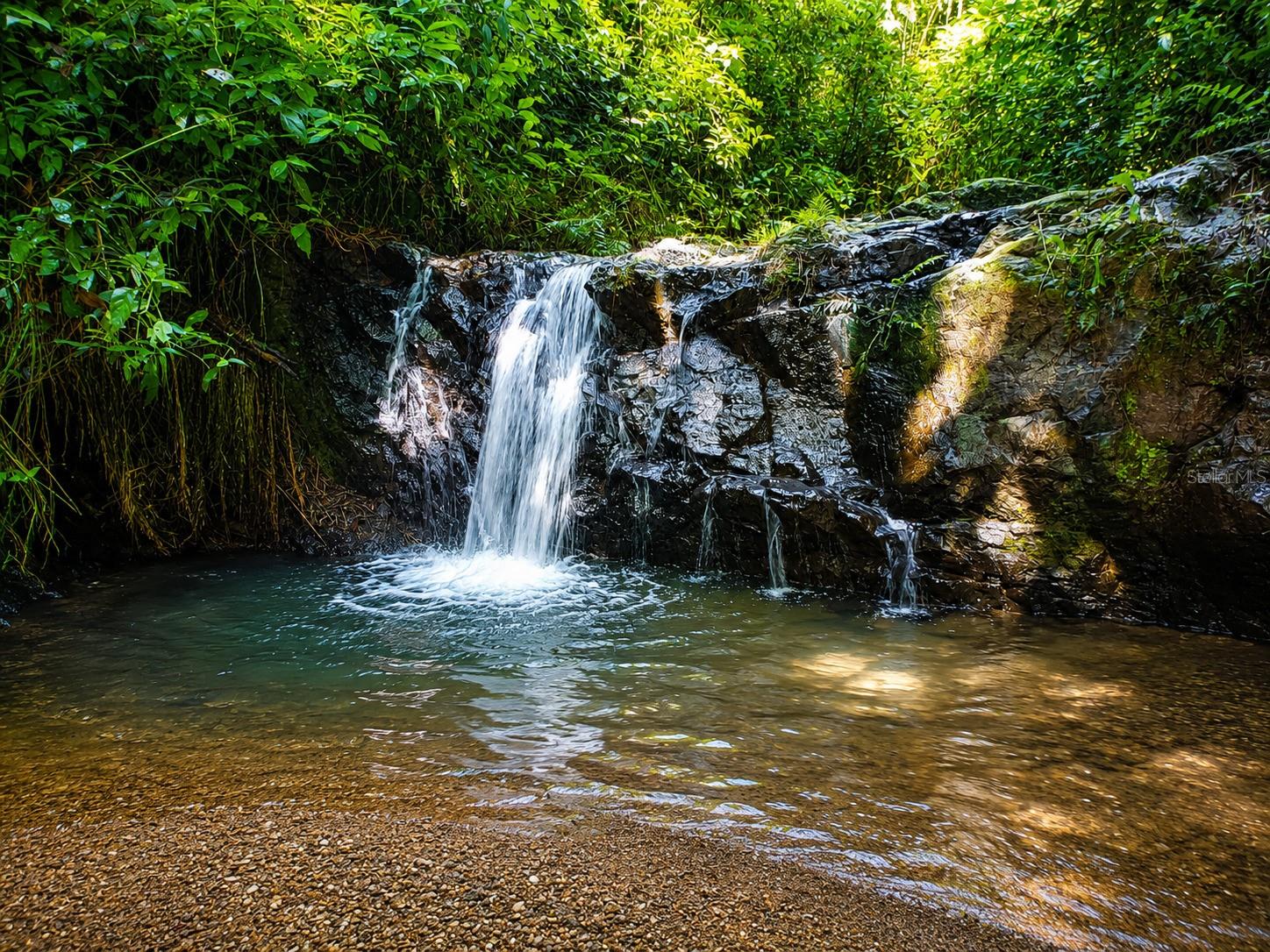 Photo of BO. FRONTON CARR 146 KM 18.6 CIALES PR 00638