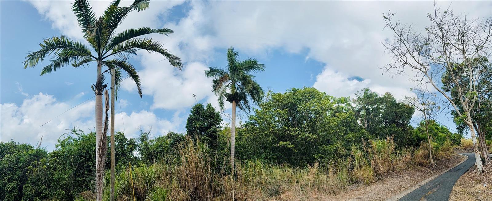 Photo of 857 ROUTE #km 6.8 CAROLINA PR 00987