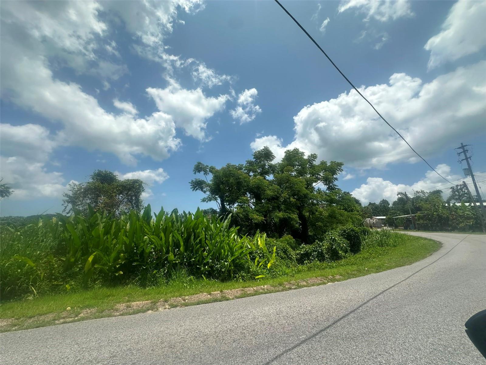 Photo of Carr. 4403 BARRIO NARANJO MOCA PR 00676