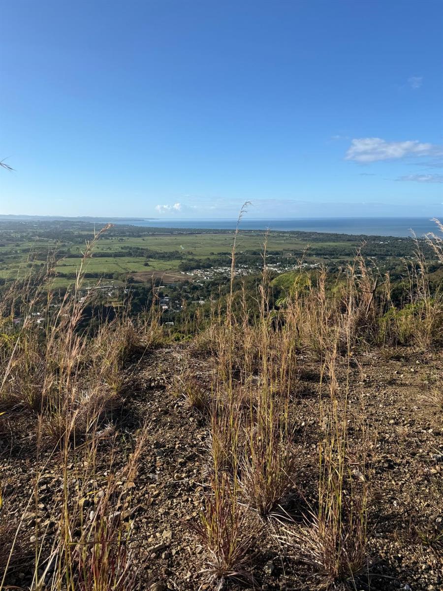 Photo of Carr. 402, Km. 5.0 BARRIO PIÑALES ANASCO PR 00610