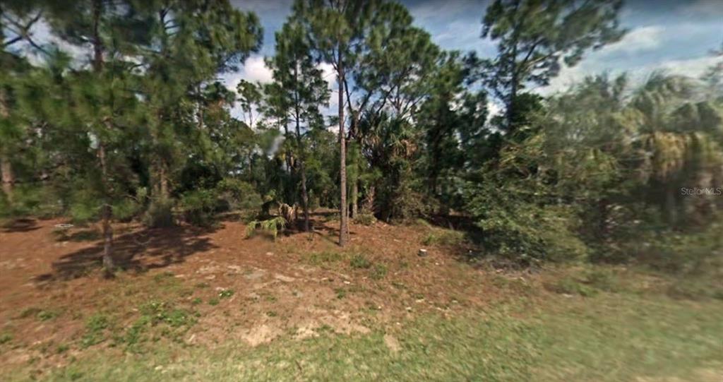 Photo of PHILLIPS ROAD LAKE WALES FL 33898