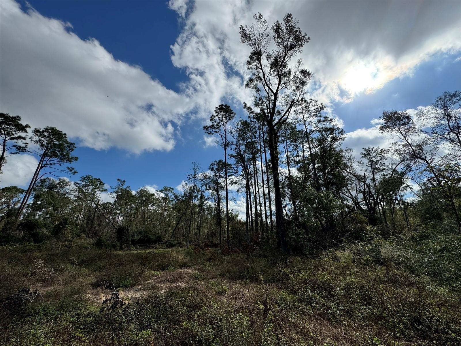Photo of 143RD DRIVE O'BRIEN FL 32071