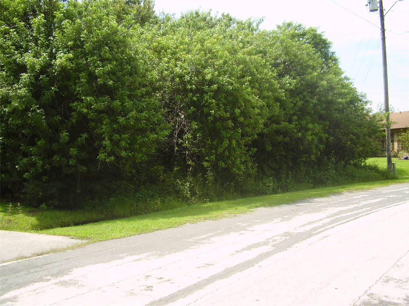 Photo of 321 CAEN COURT KISSIMMEE FL 34759