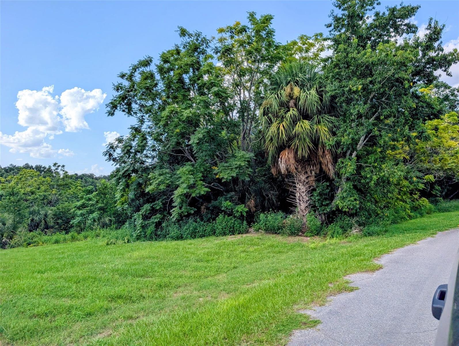 Photo of GREEN BRIAR DRIVE LADY LAKE FL 32159
