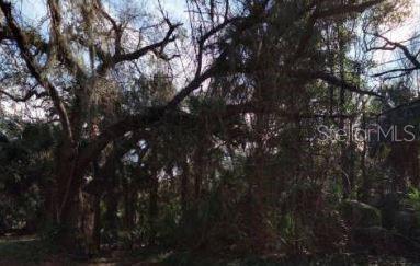 Photo of 0 N 7TH STREET FERNANDINA BEACH FL 32034
