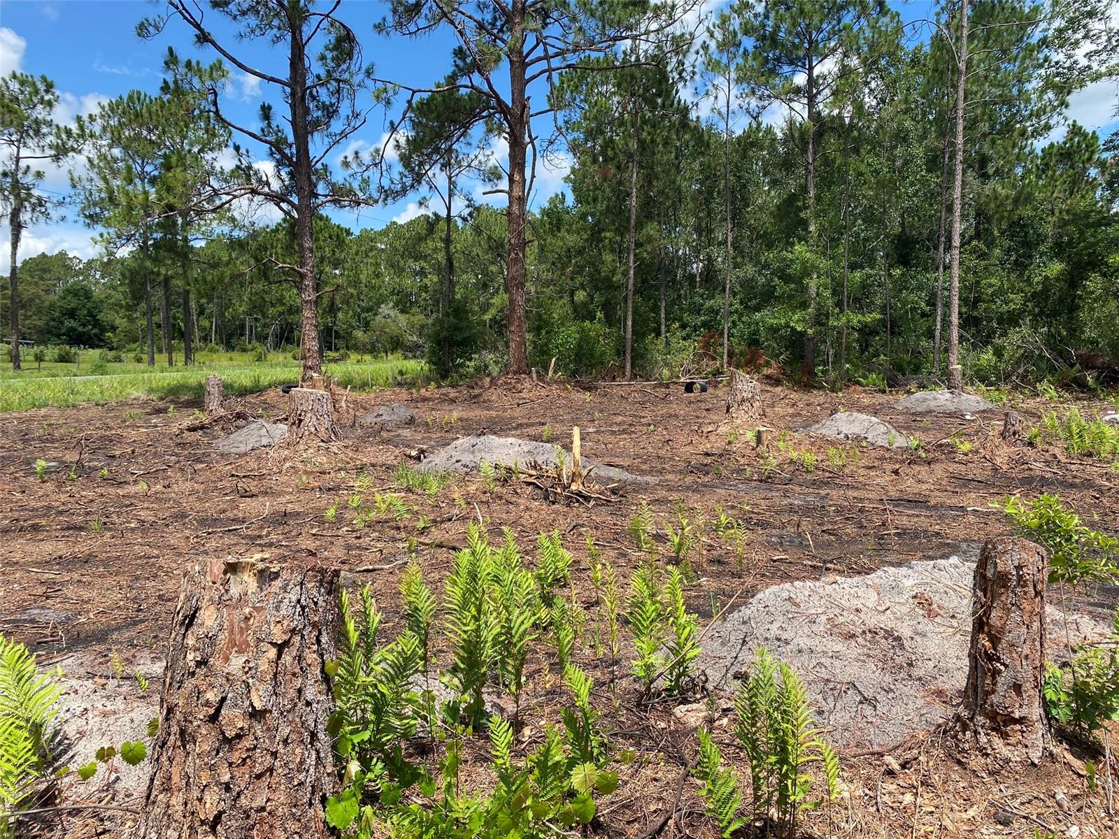 Photo of 2101 W FROSTPROOF ROAD FROSTPROOF FL 33843