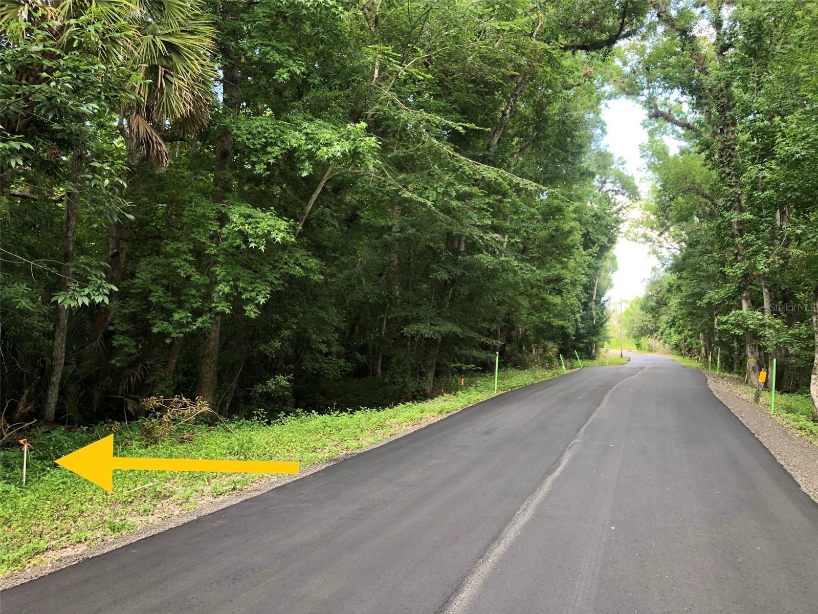 Photo of KEEFER TRAIL KISSIMMEE FL 34747