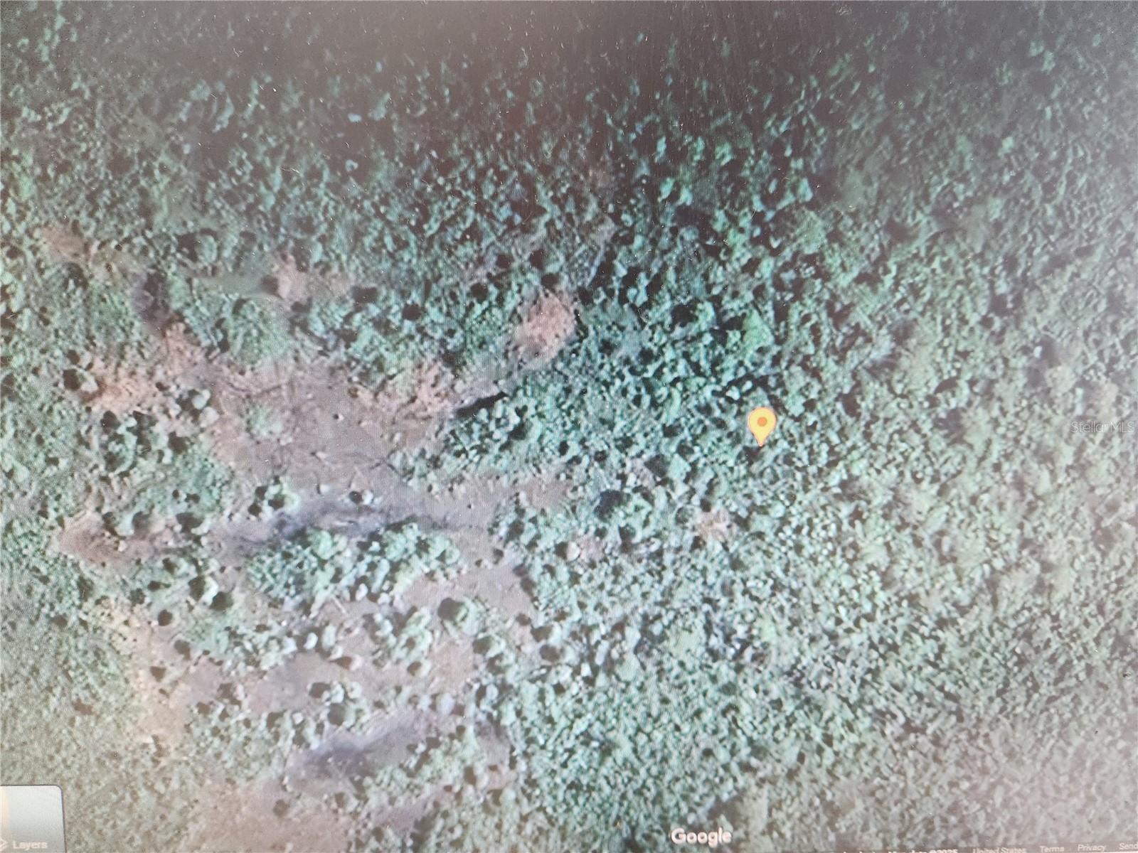 Photo of HOLOPAW GROVES ROAD ST CLOUD FL 34771