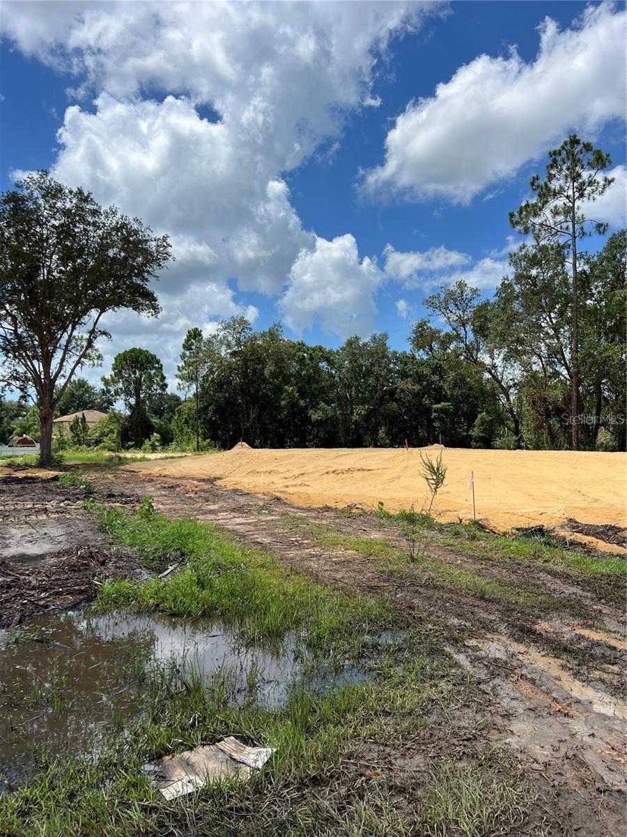 Photo of 210 SPOONBILL DRIVE KISSIMMEE FL 34759