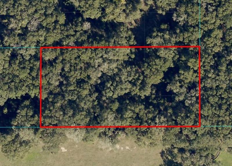 Photo of UNDETERMINED OCALA FL 34480
