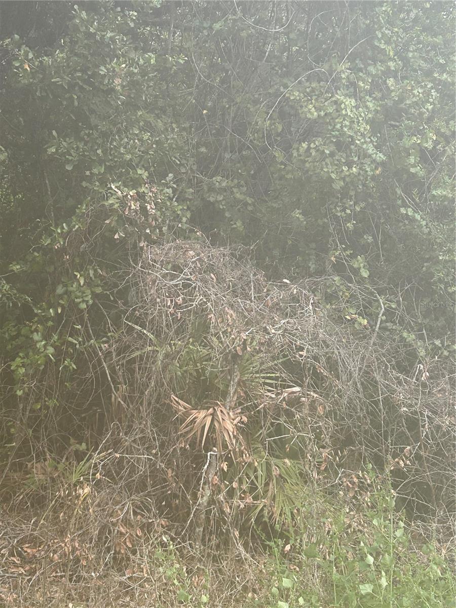 Photo of SE 105 PLACE OCKLAWAHA FL 32179