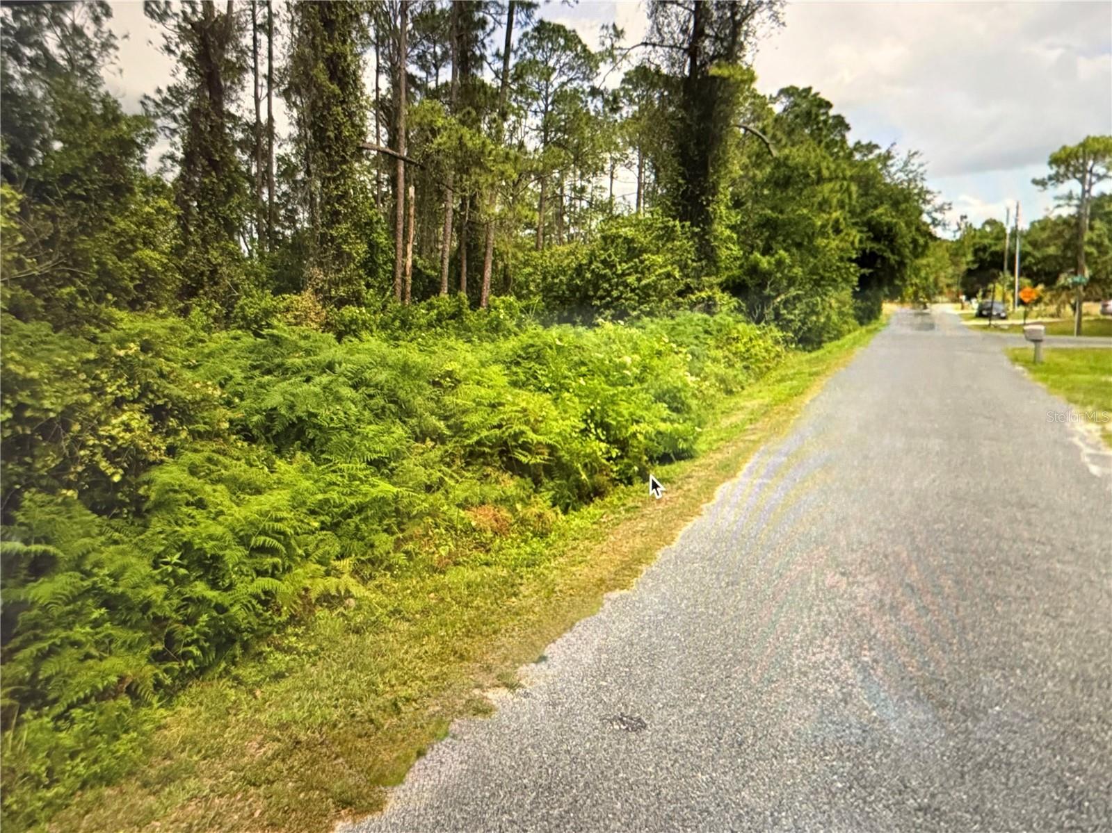 Photo of FIG LEAF STREET ST CLOUD FL 34769