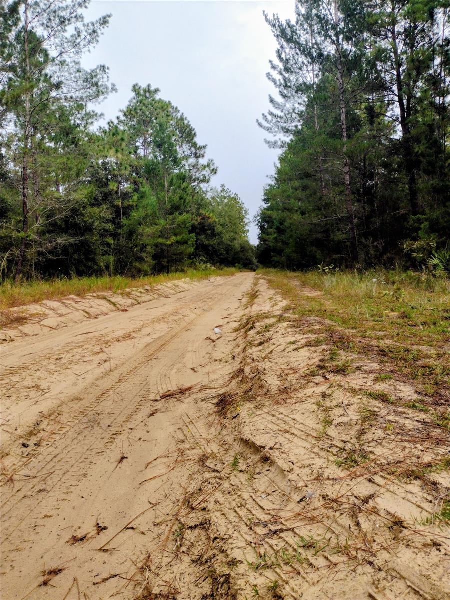 Photo of 171 7TH WAY INTERLACHEN FL 32148