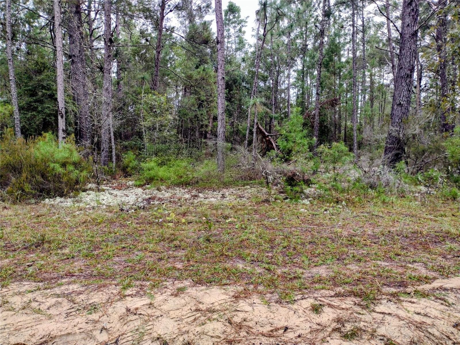 Photo of 165 7TH WAY INTERLACHEN FL 32148