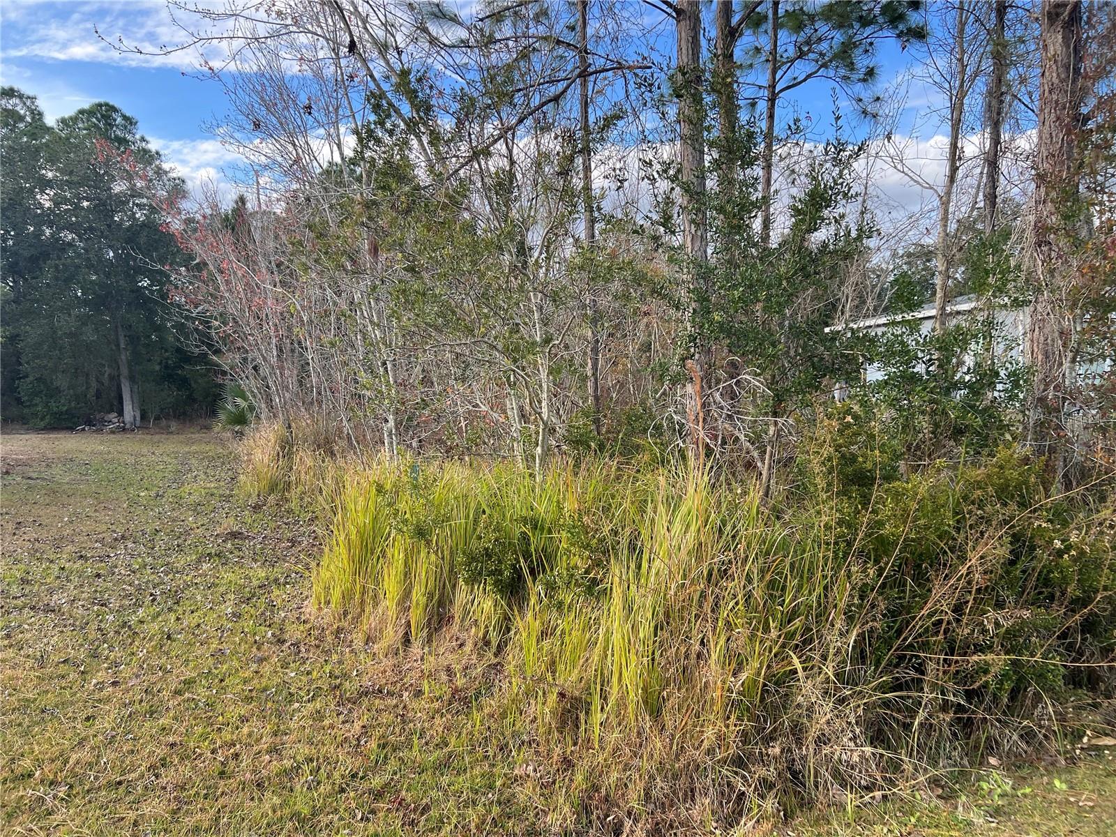 Photo of 1425 TEAL DRIVE KISSIMMEE FL 34759