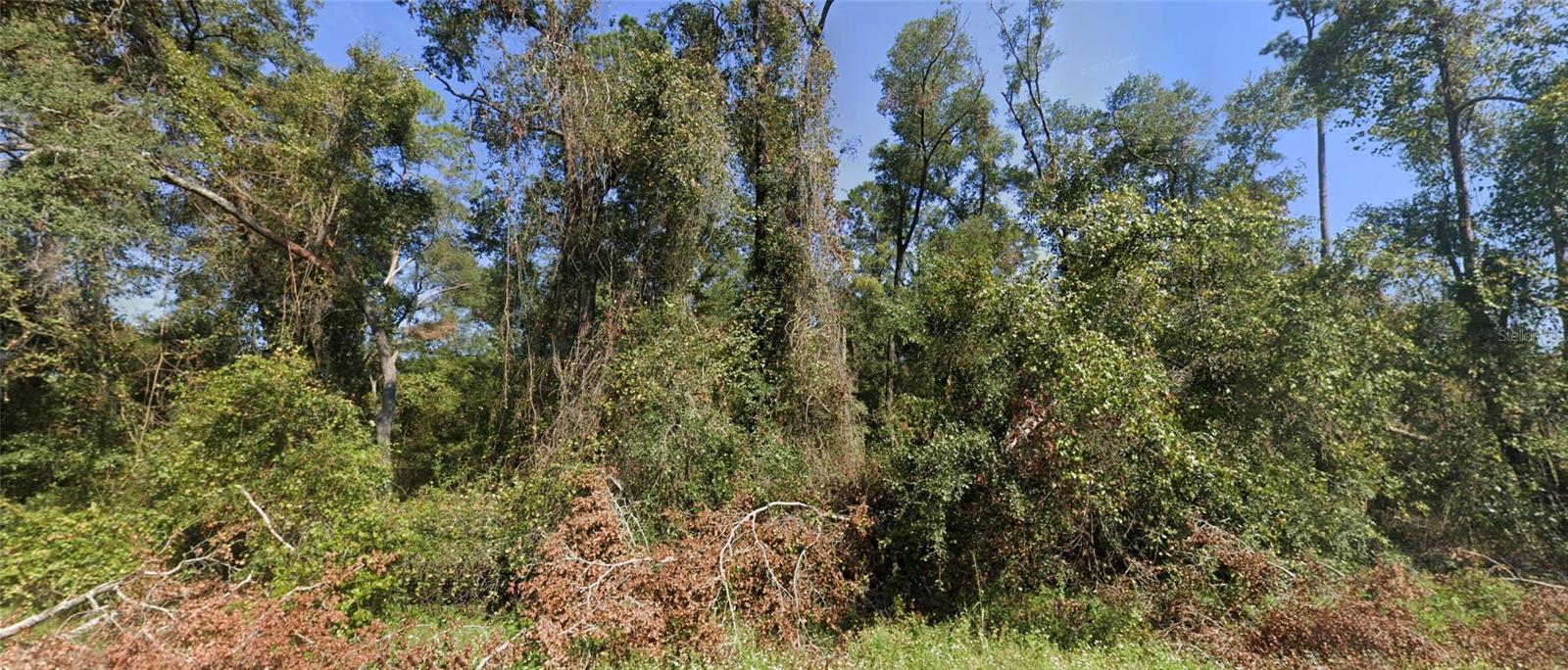 Photo of TBD NW SUWANNEE VALLEY ROAD LAKE CITY FL 32055