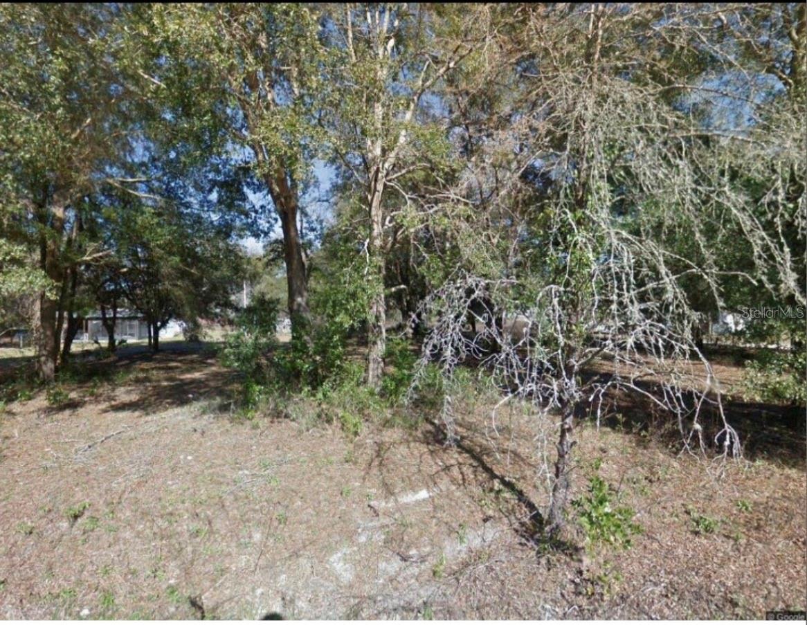 Photo of 17449 NW 89TH TER FANNING SPRINGS FL 32693