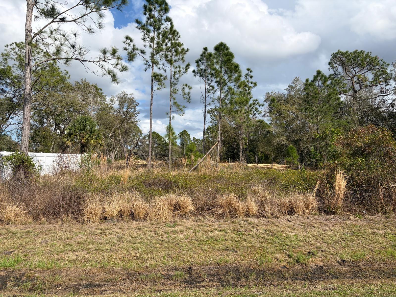 Photo of 202 SPOONBILL DRIVE POINCIANA FL 34759