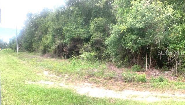 Photo of No Address Listed GROVELAND FL 34736