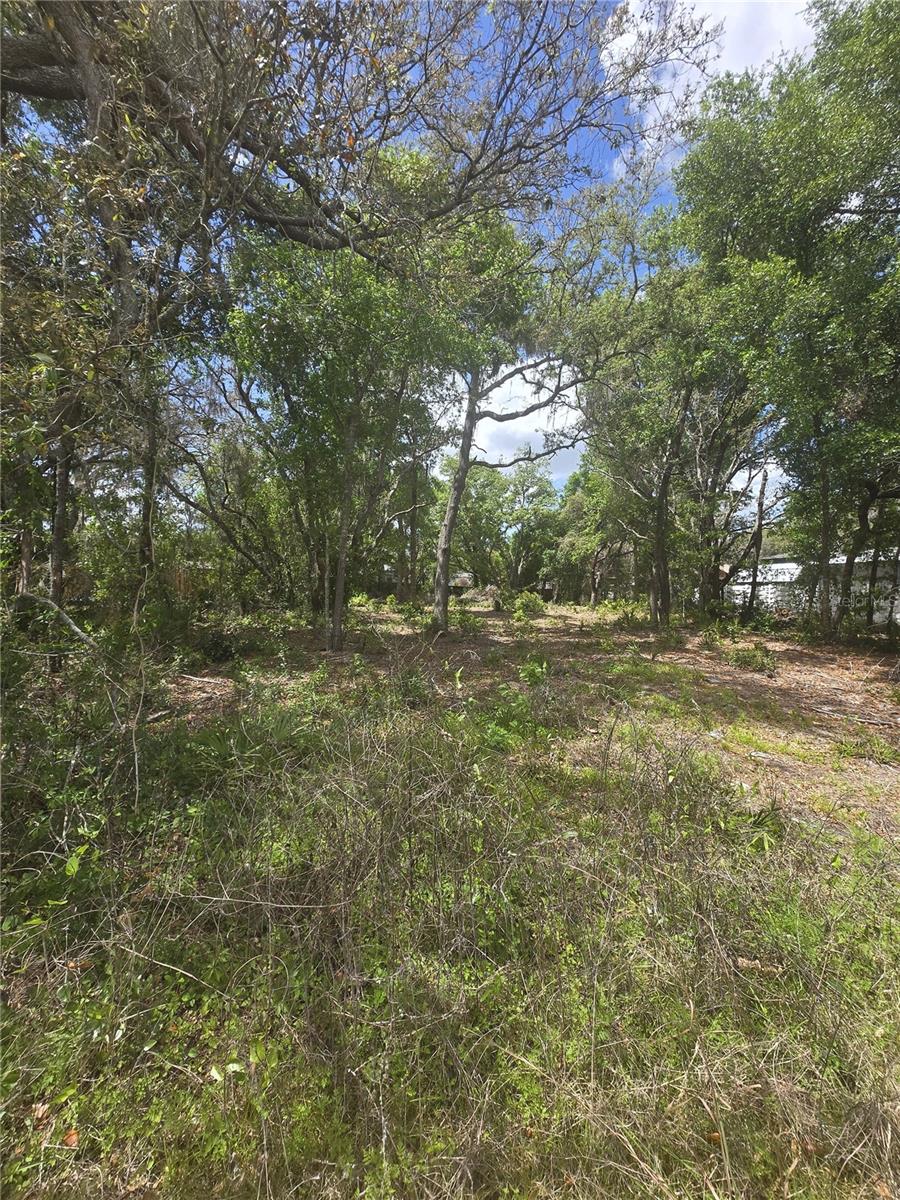 Photo of 8140 WALT WILLIAMS ROAD LAKELAND FL 33809