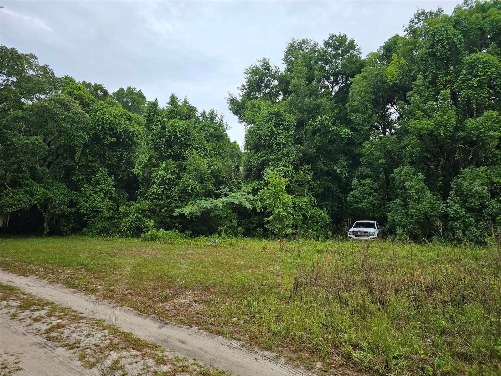 Photo of SE 140TH TERRACE OCKLAWAHA FL 32179