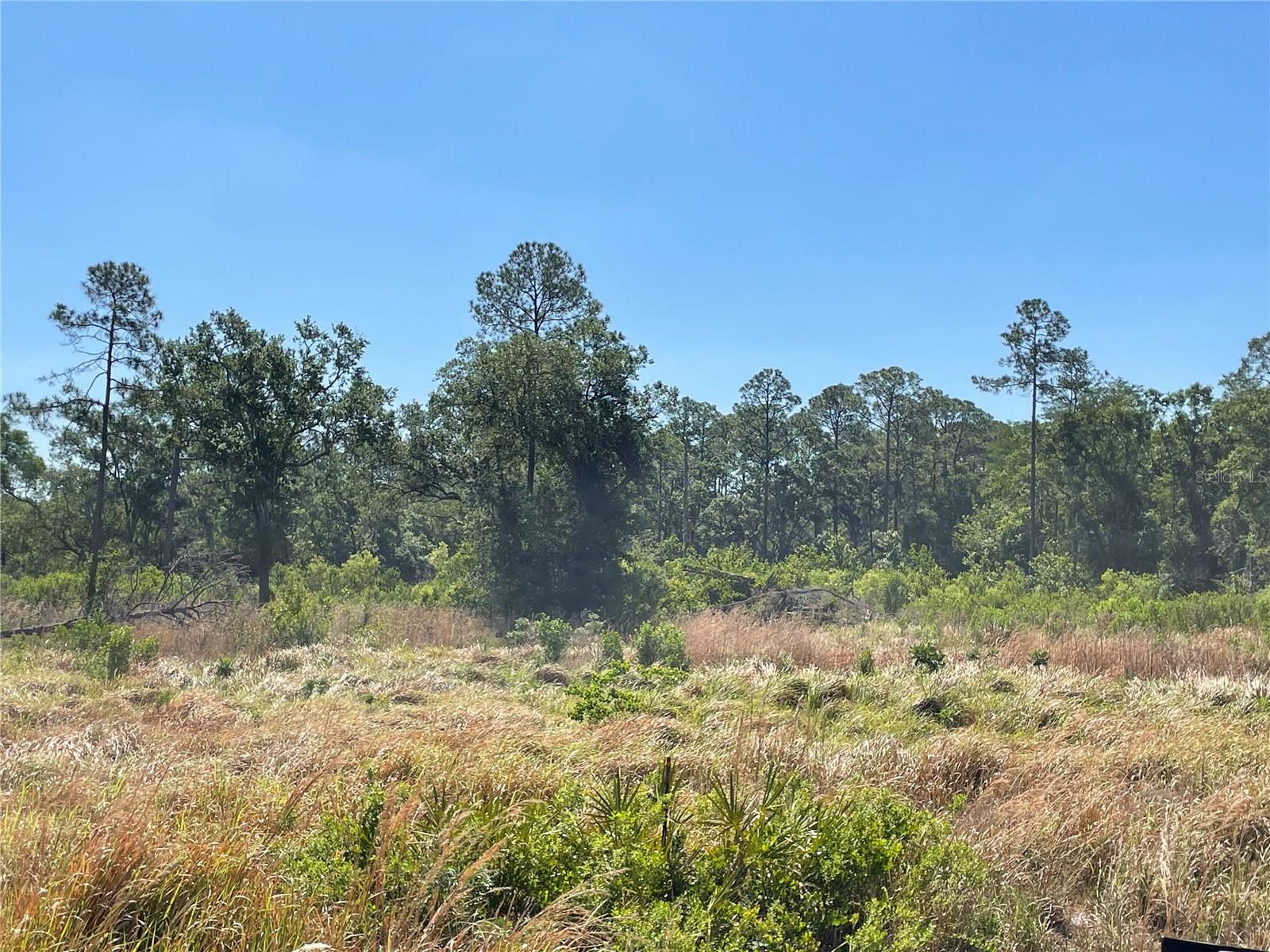 Photo of AVONWOOD TAMPA FL 33625