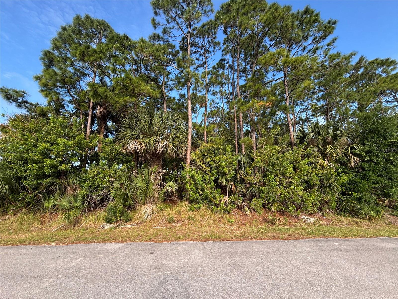 Photo of 556 BURLINGTON AVENUE PALM BAY FL 32907