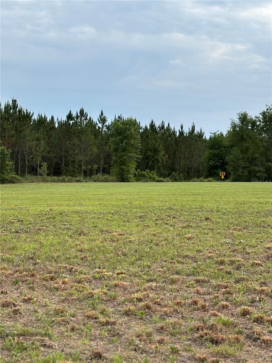 Photo of 974 SW SHERLOCK TERRACE LAKE CITY FL 32024