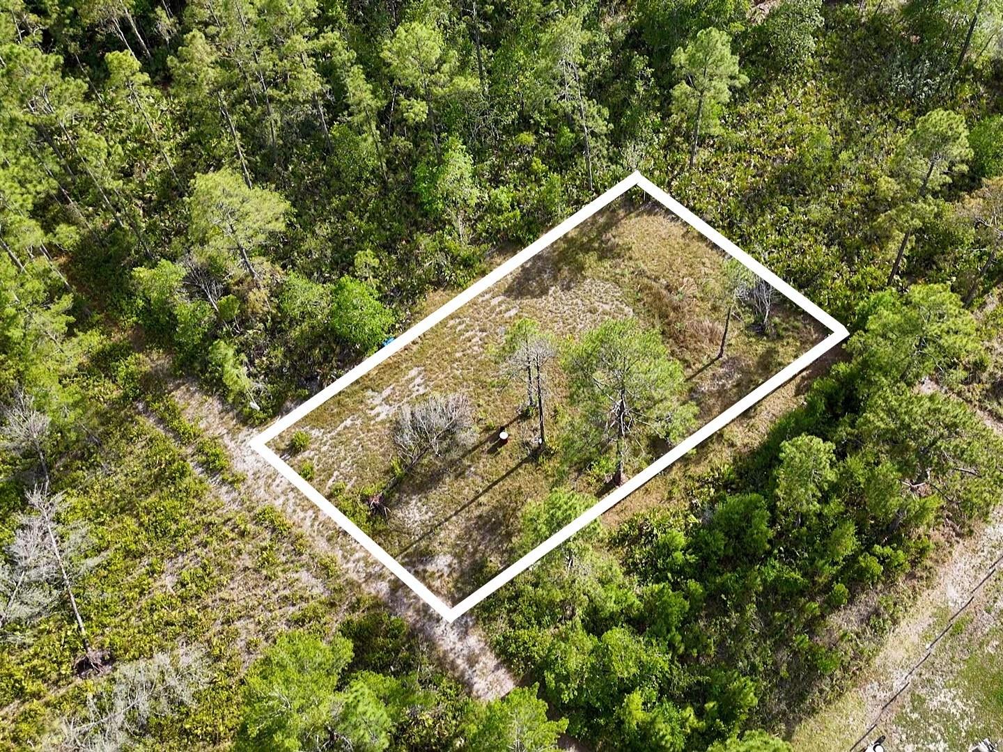 Photo of 56309 VIRGINIA STREET PAISLEY FL 32767
