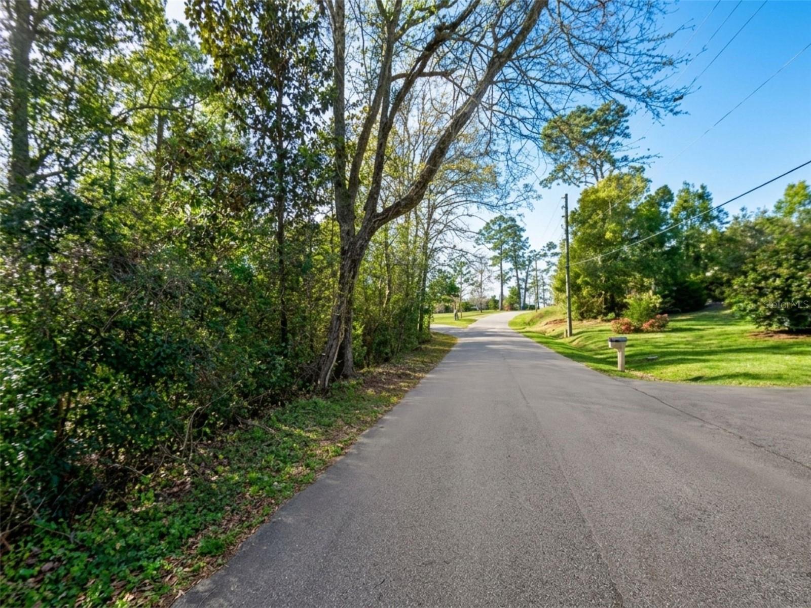 Photo of SATSUMA RD CHATTAHOOCHEE FL 32324