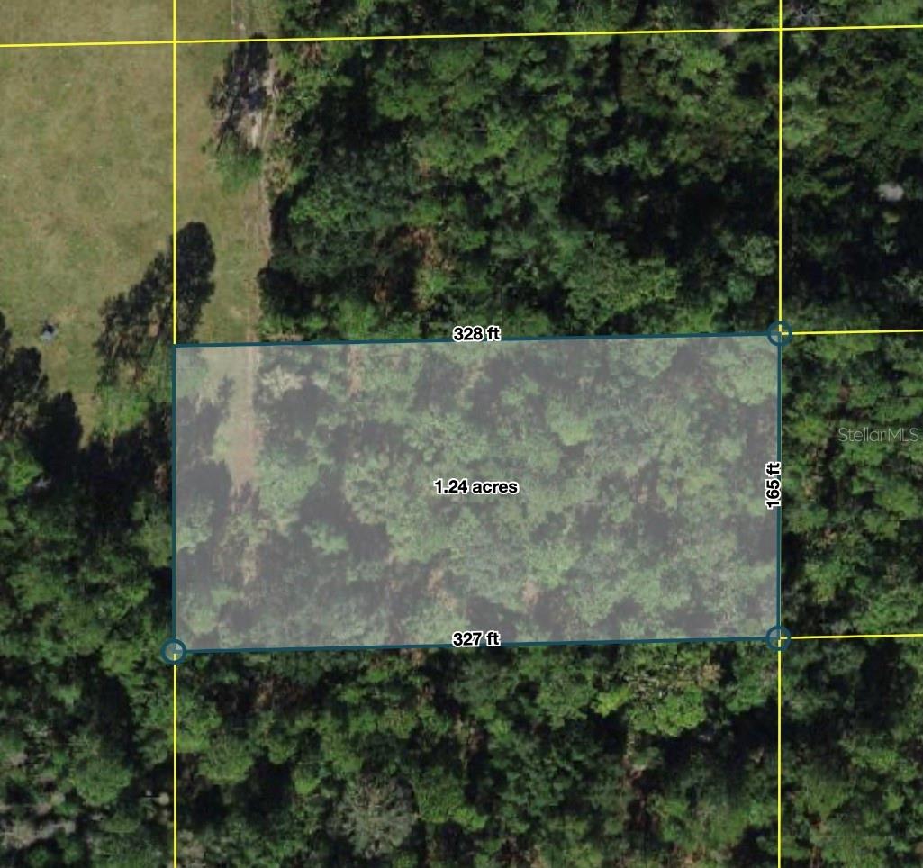 Photo of POLK CITY POLK CITY FL 33868
