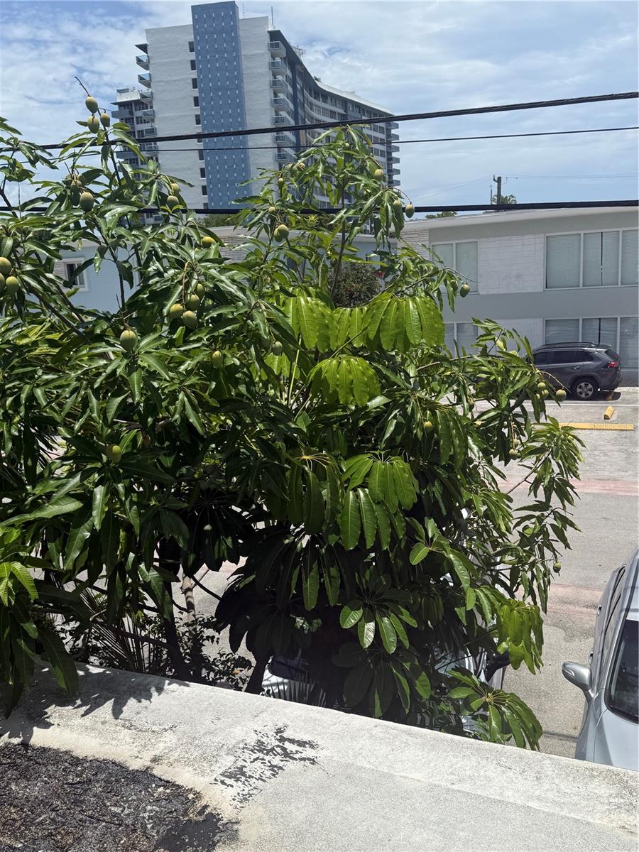 Photo of 7350 GARY AVENUE MIAMI BEACH FL 33141