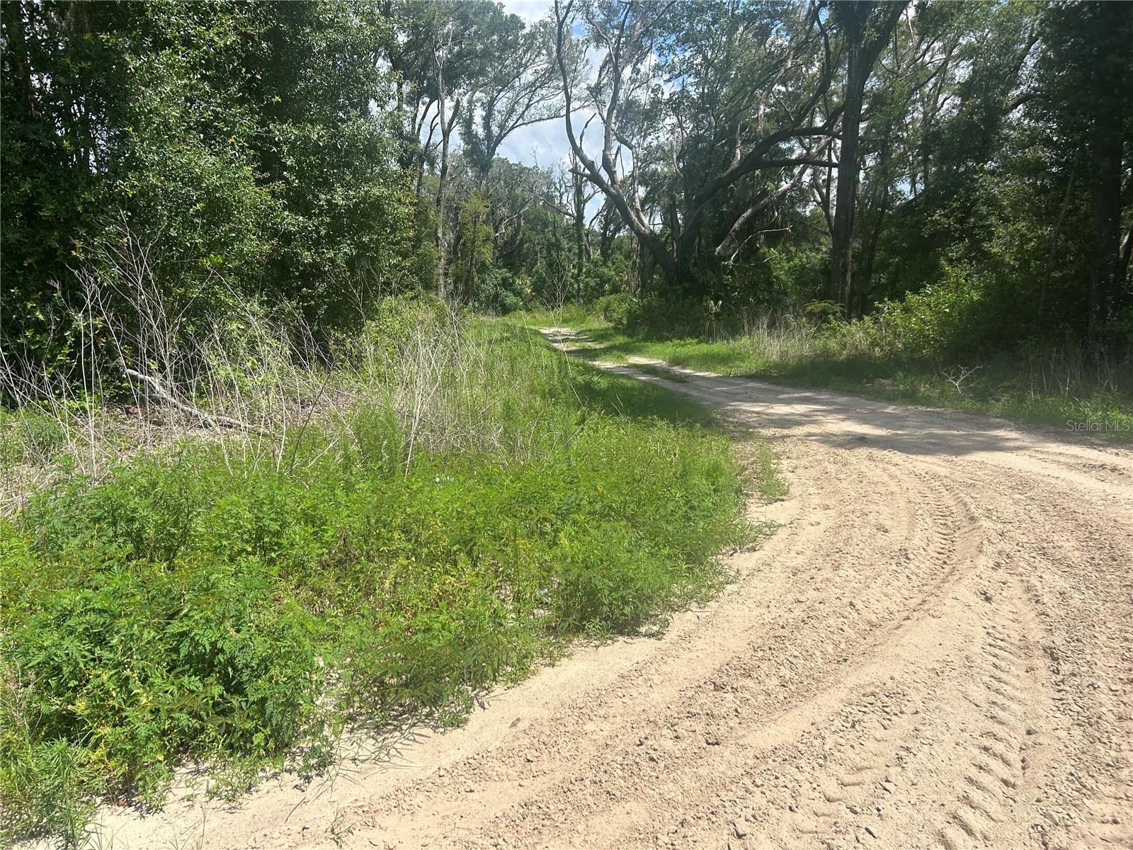 Photo of 4392 E JAY STREET INVERNESS FL 34453