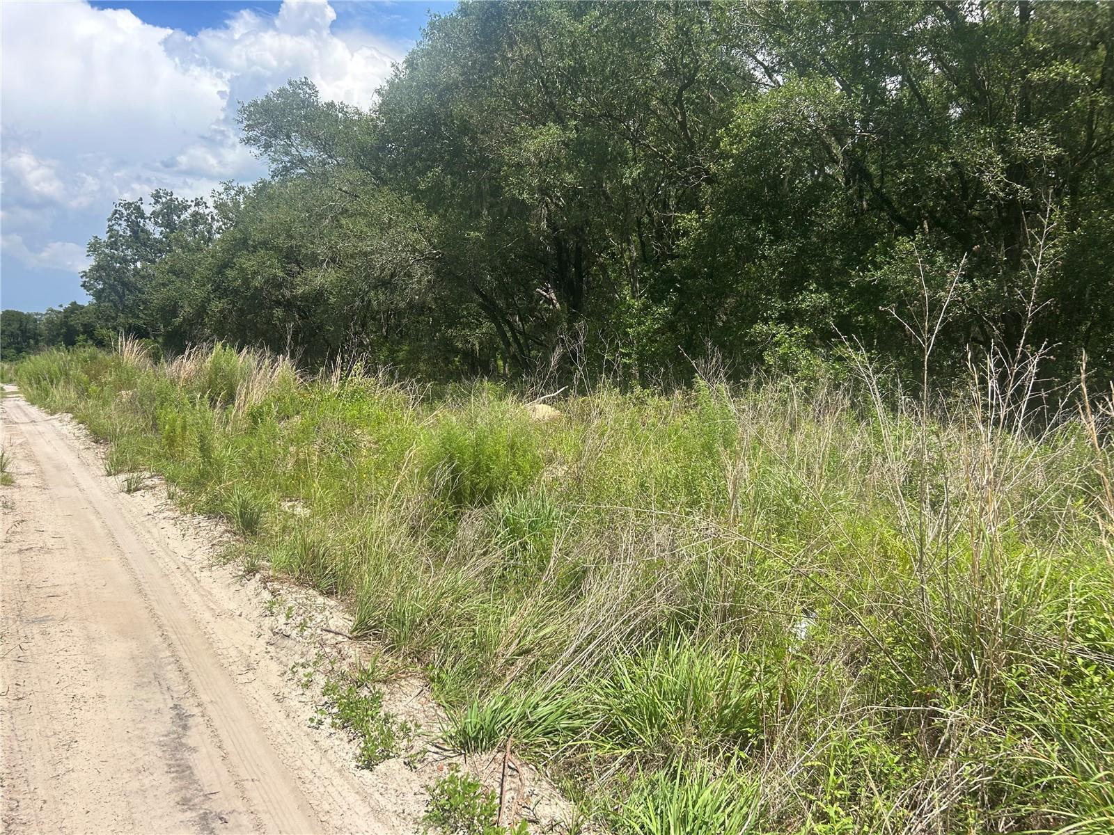 Photo of 4436 E JAY STREET INVERNESS FL 34453