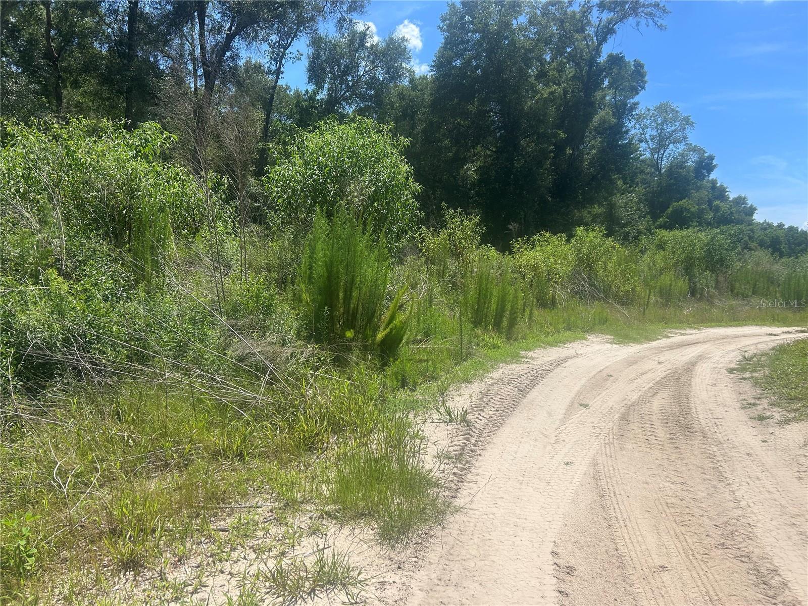 Photo of 4598 E JAY STREET INVERNESS FL 34453