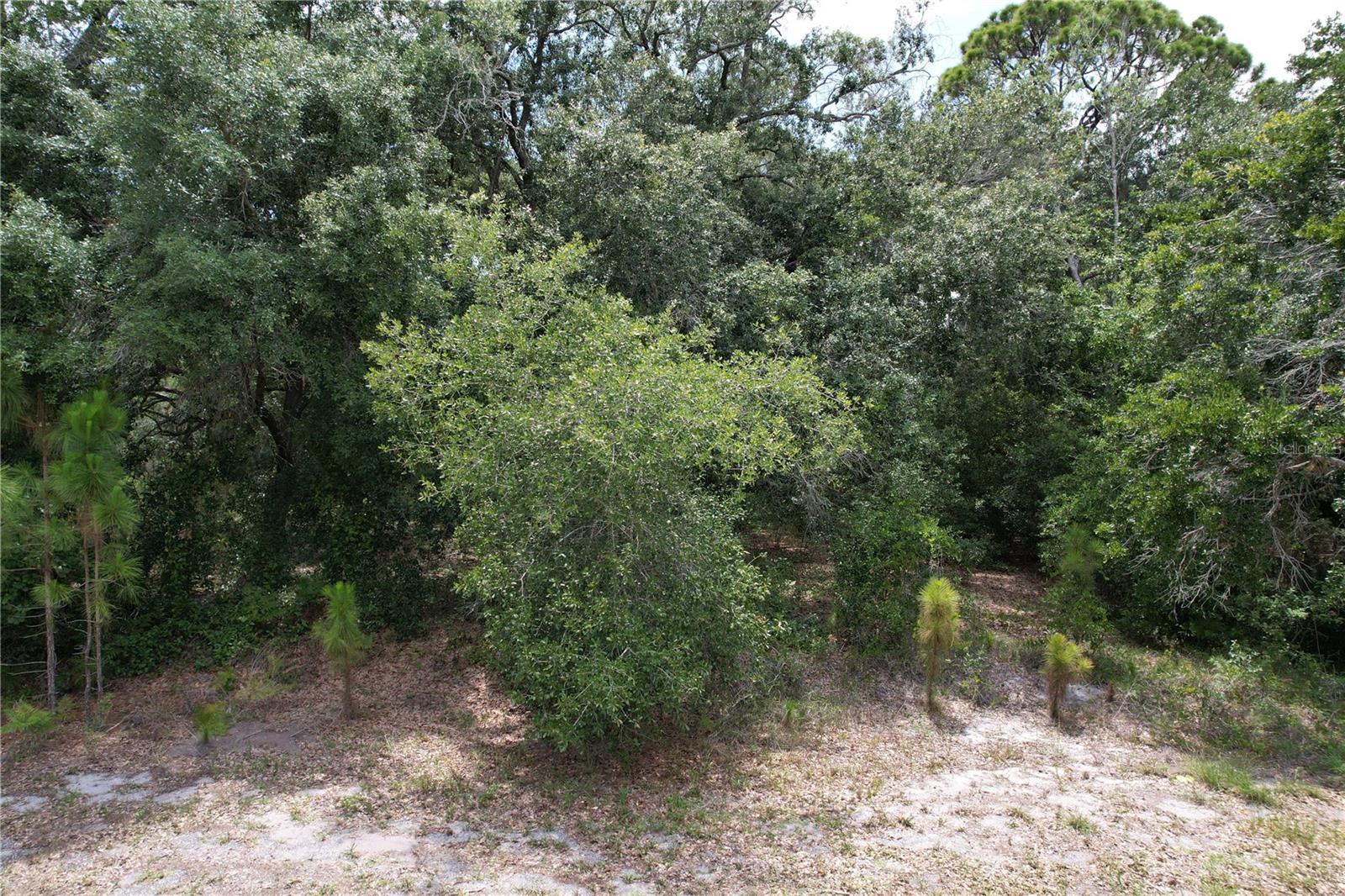 Photo of 1008 WILDFLOWER STREET LAKE PLACID FL 33852
