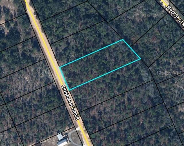 Photo of CINNAMON DRIVE MARIANNA FL 32448
