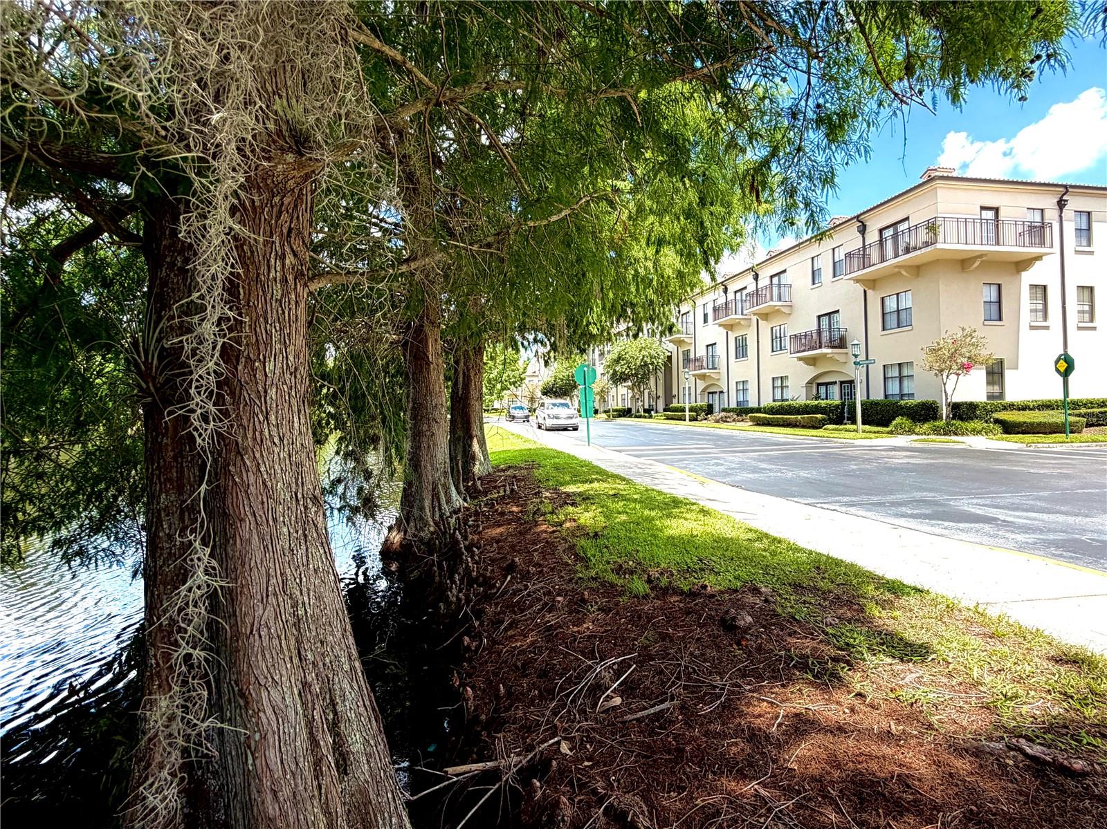 Photo of 909 WATERSIDE LANE #205 CELEBRATION FL 34747