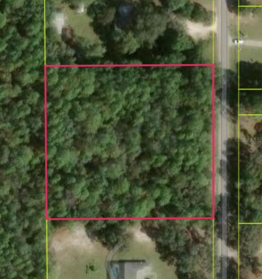 Photo of 1864 S S COLONIAL AVENUE HOMOSASSA FL 34448