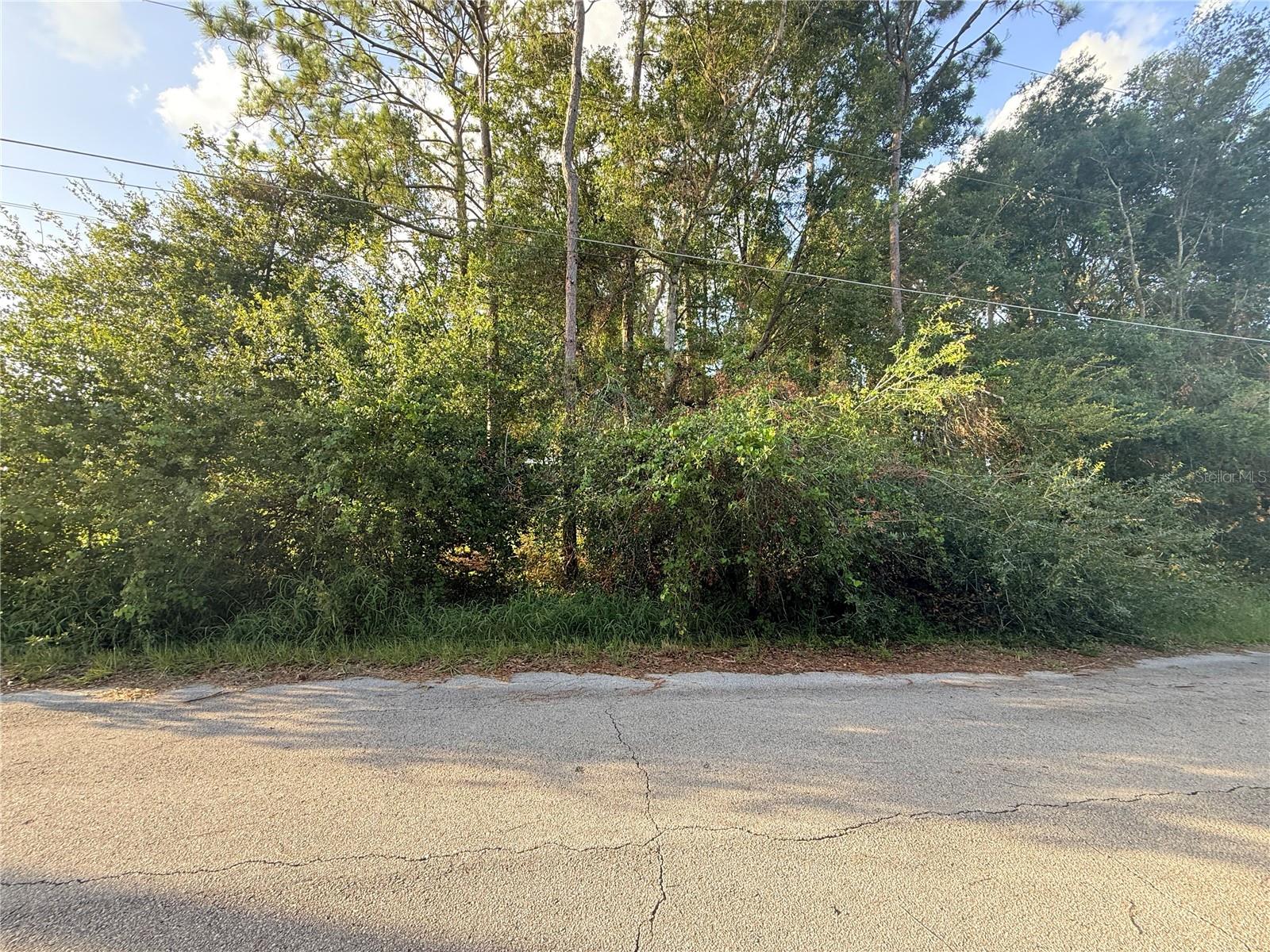 Photo of 0 WILFRED ST ST CLOUD FL 34769
