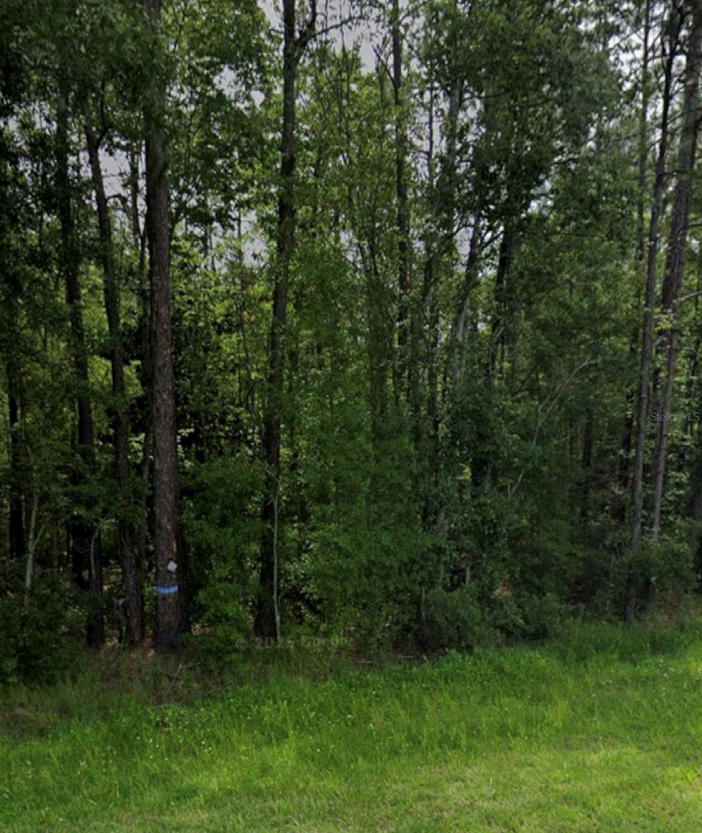 Photo of TBD NE NE 6TH AVENUE LAWTEY FL 32058