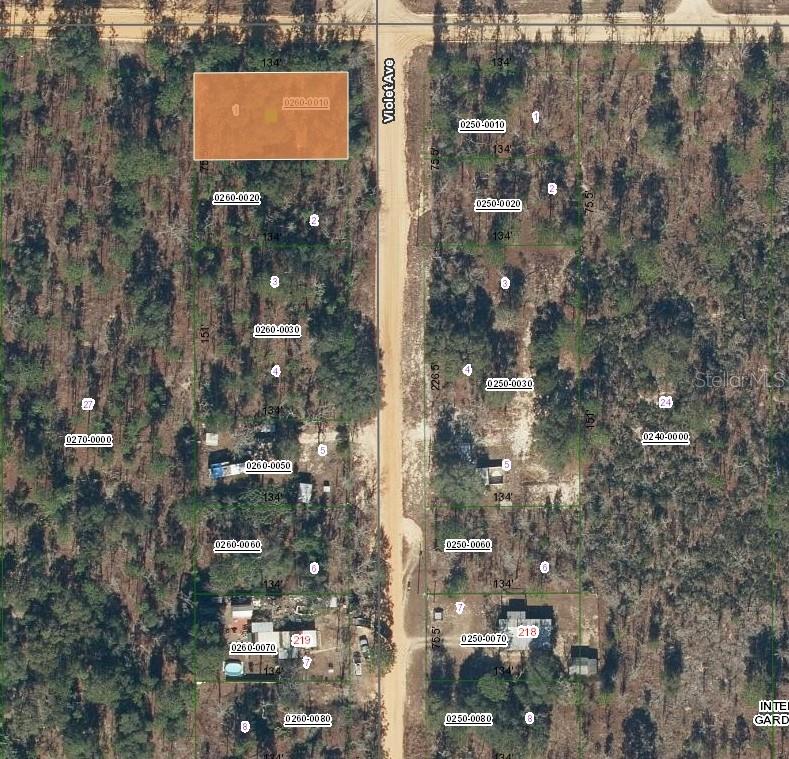 Photo of 231 VIOLET AVE INTERLACHEN FL 32148