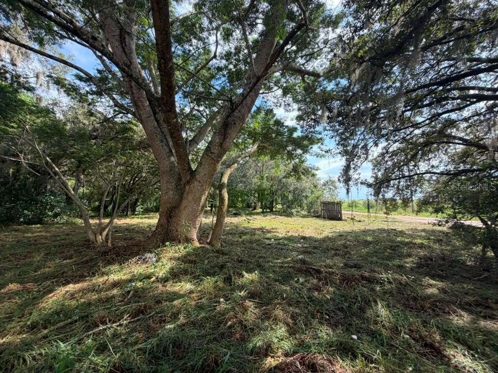 Photo of 8156 DOGYARD ROAD LAKE WALES FL 33898