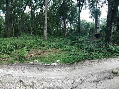 Photo of 20316 BALDPATE ROAD ALTOONA FL 32702