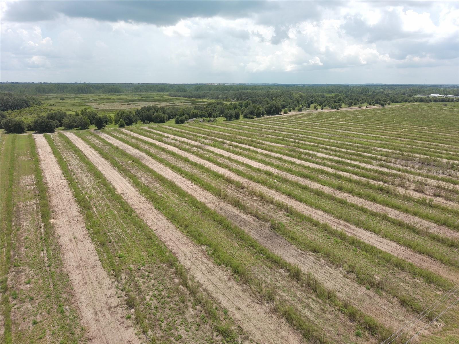 Photo of 000 KUDER RANCH ROAD HAINES CITY FL 33844