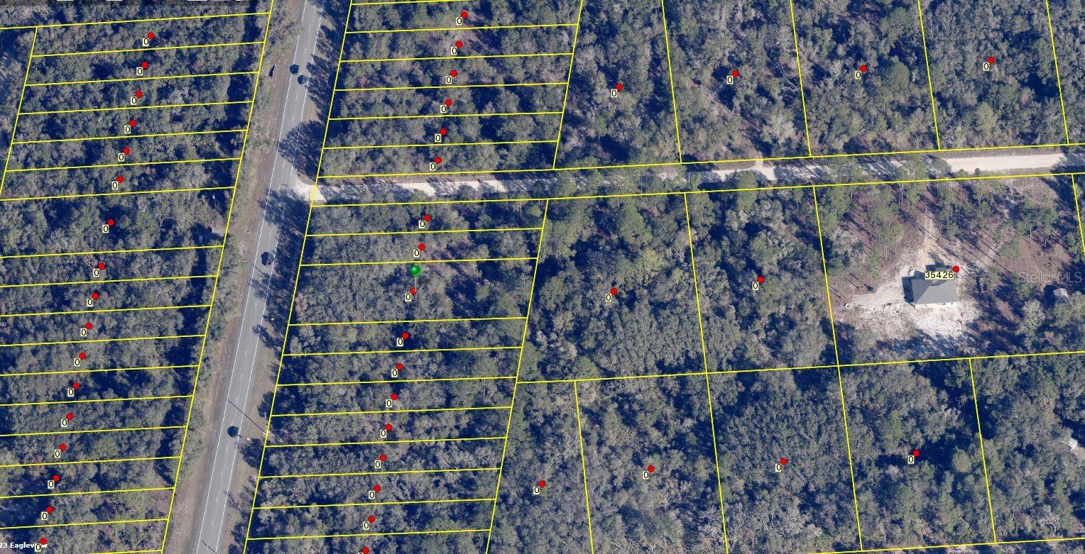 Photo of 8146 TREIMAN BOULEVARD WEBSTER FL 33597