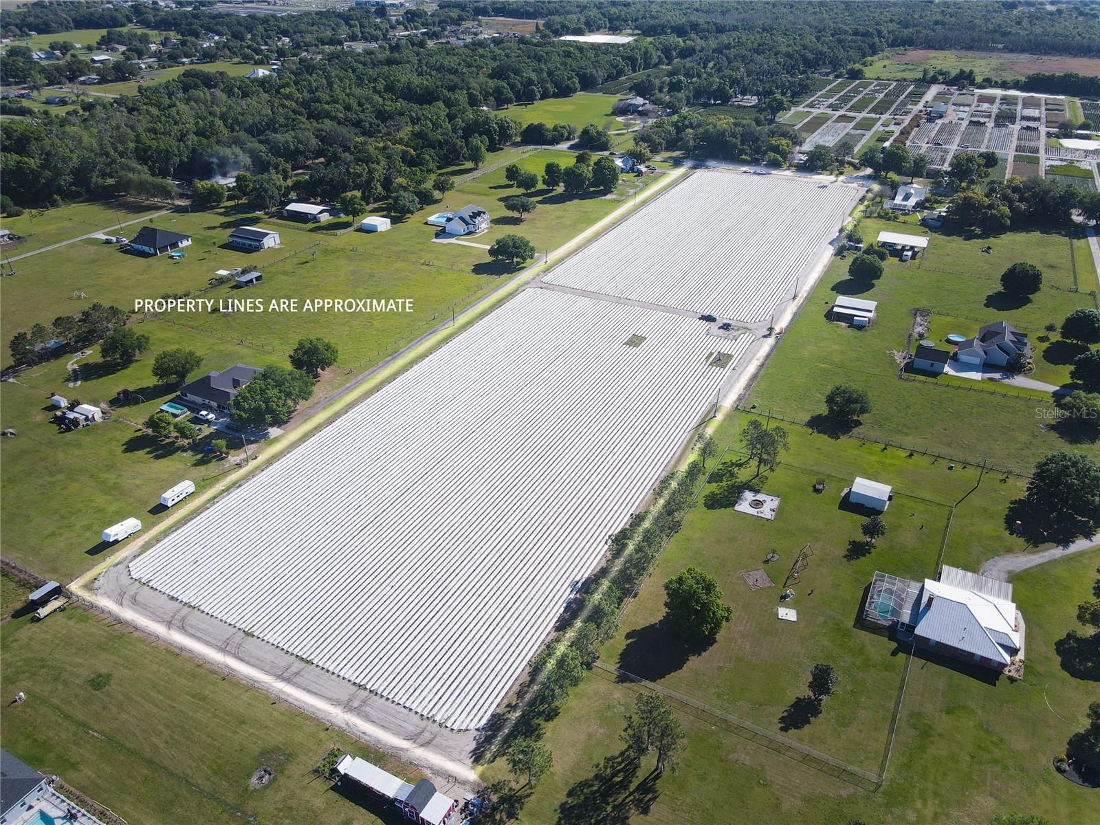 Photo of 3811 OLD MULBERRY ROAD PLANT CITY FL 33567