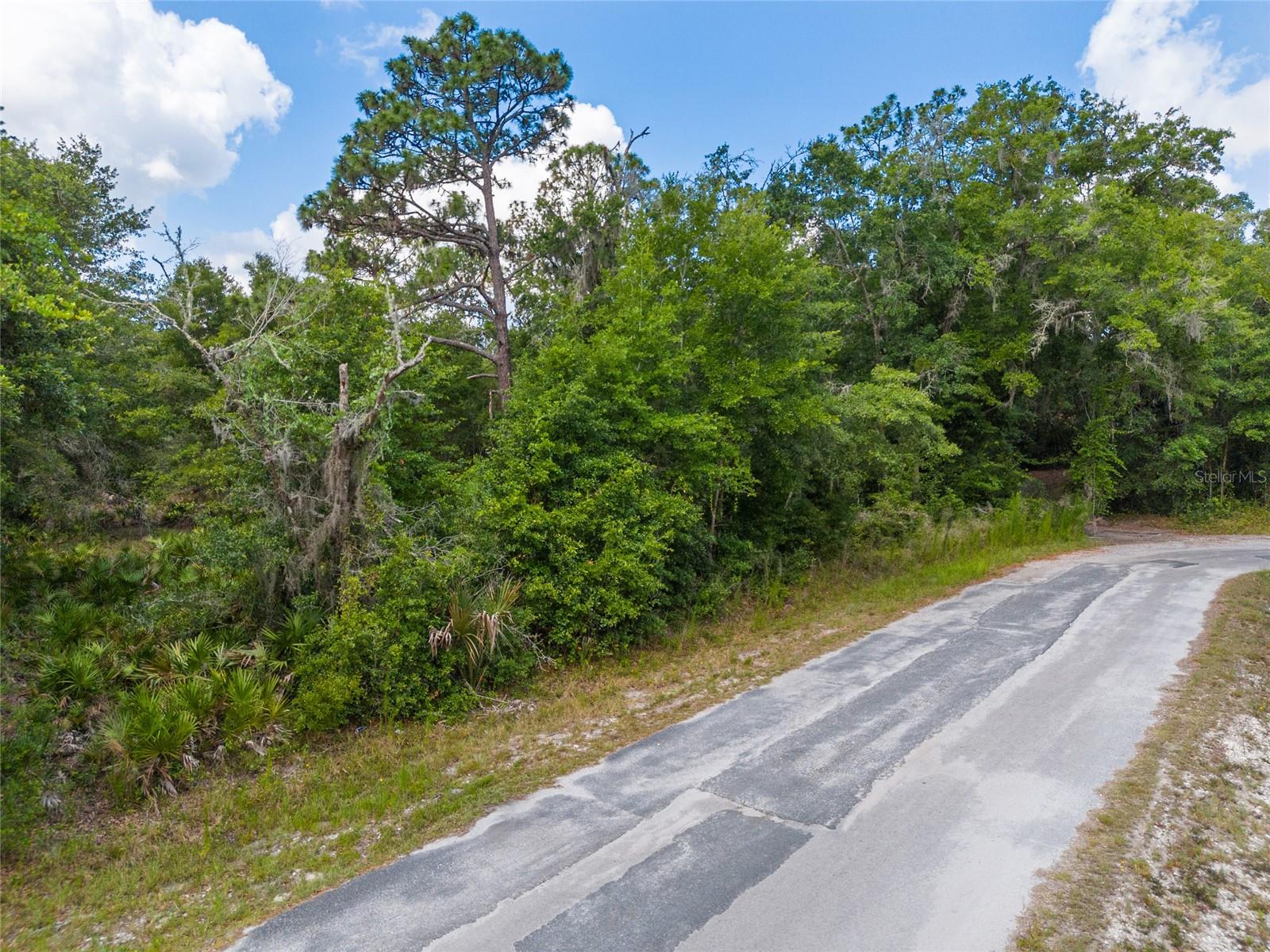 Photo of 12180 W OLIVE TREE LANE CRYSTAL RIVER FL 34428