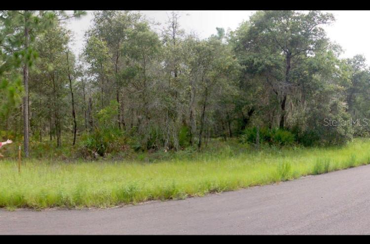 Photo of 2156 W DEERFIELD LANE DUNNELLON FL 34434