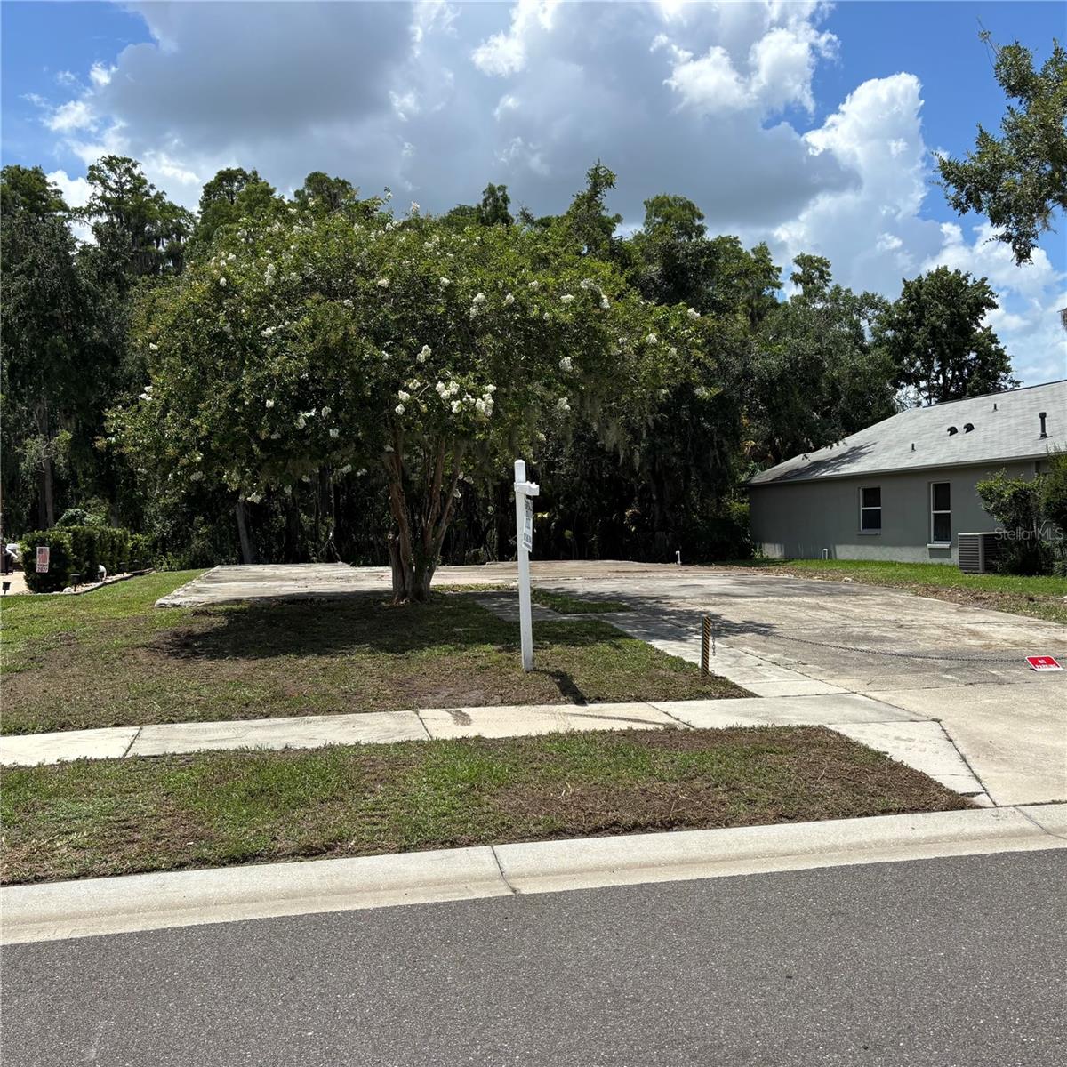 Photo of 1323 BAYTHORN DRIVE WESLEY CHAPEL FL 33543